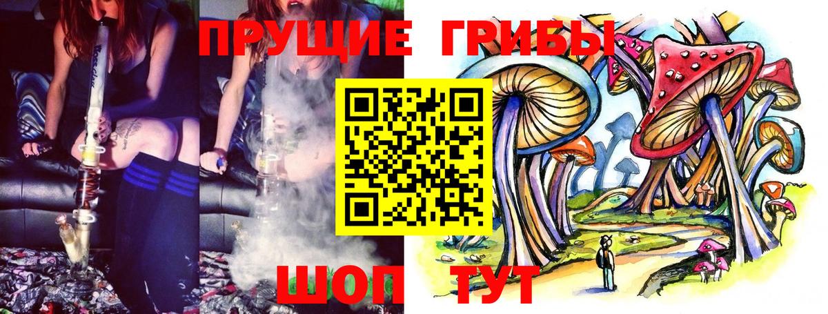 Псилоцибиновые грибы GOLDEN TEACHER  Галлюциногенные грибы Psilocybine cubensis  Павловский Посад  купить наркотик  Вход с VPN 