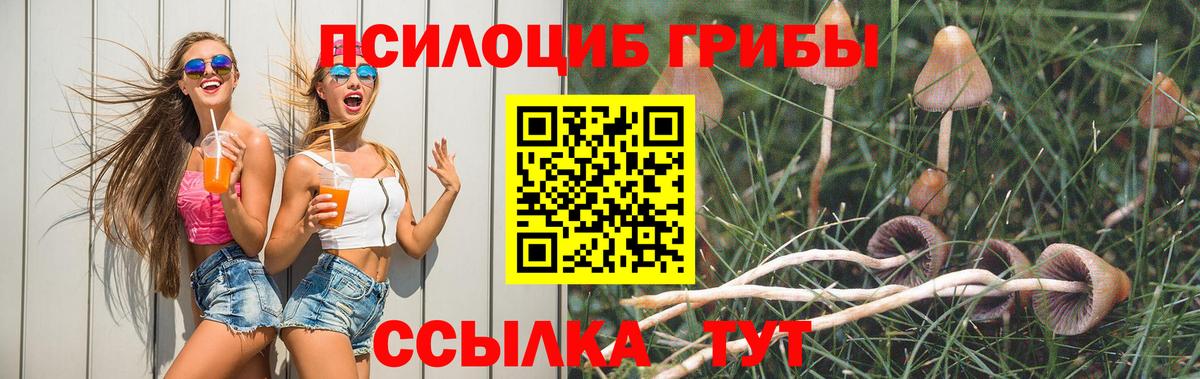 Галлюциногенные грибы Psilocybine cubensis Павловский Посад